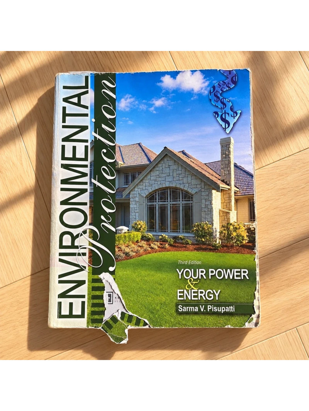Environmental Protection Your Power and Energy Sarma Pisupati 3rd Edition